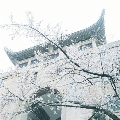 2024年北京大学生音乐节开幕